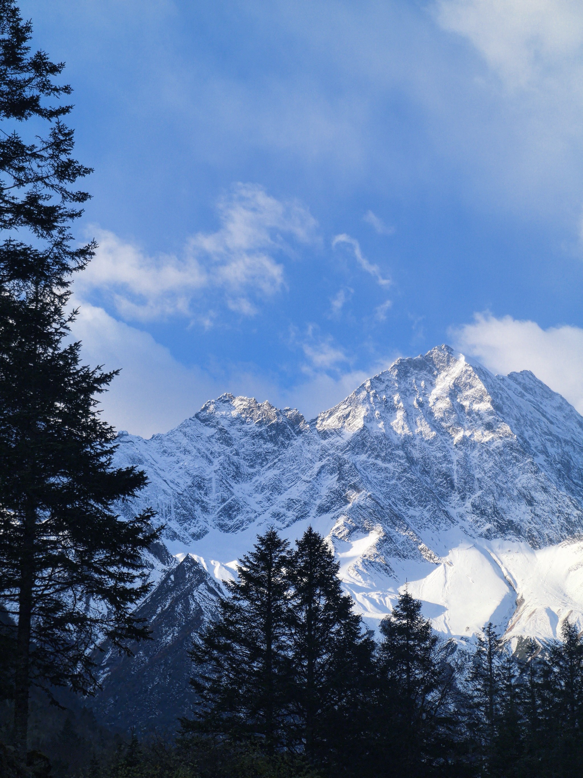 QQ